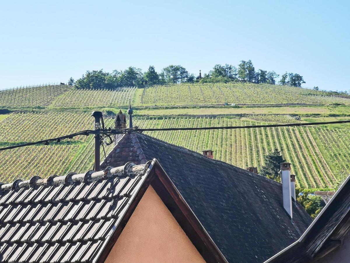 ✪ Le Convivial ✪ Duplex Alsacien ✪ Parking ✪ Rbnb✪ Turckheim Exteriör bild